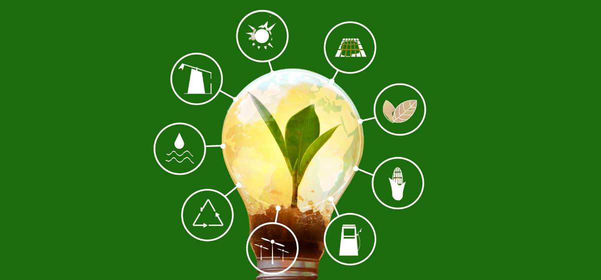 apalco energi web 19