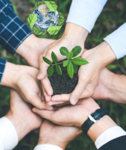 apalco energy about page 6